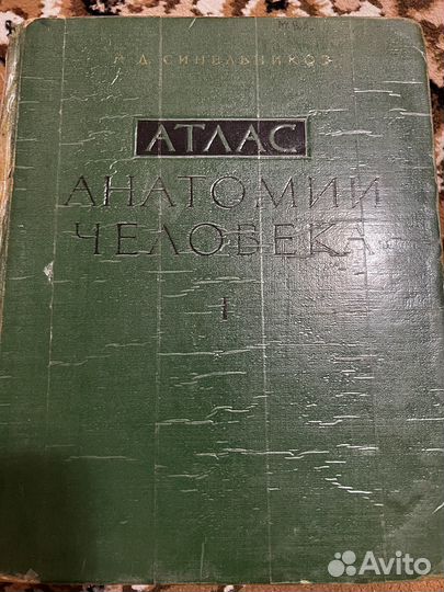 Атлас анатомии человека Синельников