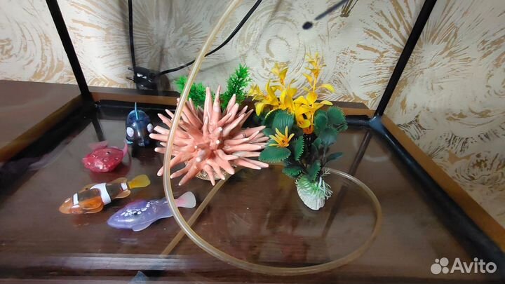 Аквариум 60 литров