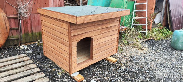 Собачья будка