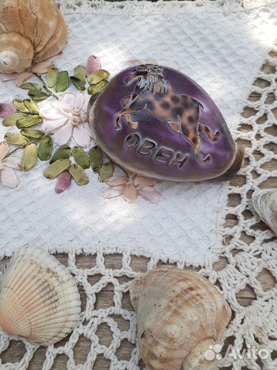 Морские раковины и ракушки