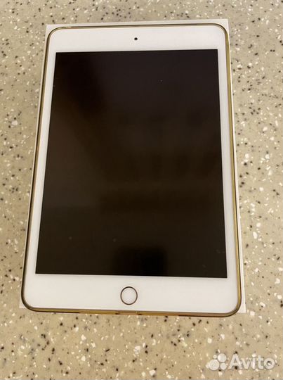 iPad mini 5 256 Gb