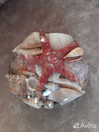 Набор ракушек