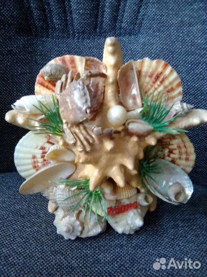 Инсталяция из ракушек