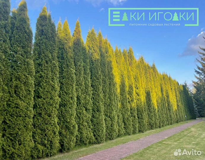 Крупномеры Колумна 6 м