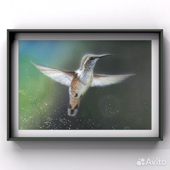 Картина акварель «Колибри»