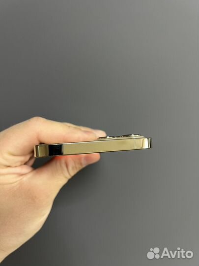 iPhone 12 Pro Max, 256 ГБ