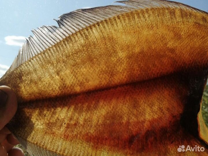 Камбала ерш вяленый