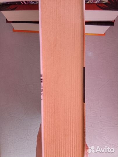 Джонатан Франзен 