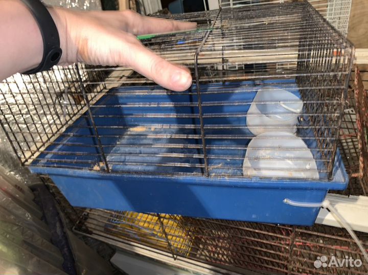 Клетки для кроликов, крыс, хорьков, морских свинок