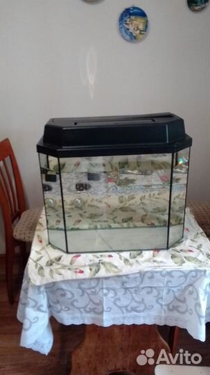 Аквариум