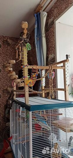 Волнистые попугаи с клеткой