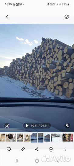 Лес кругляк хвоя