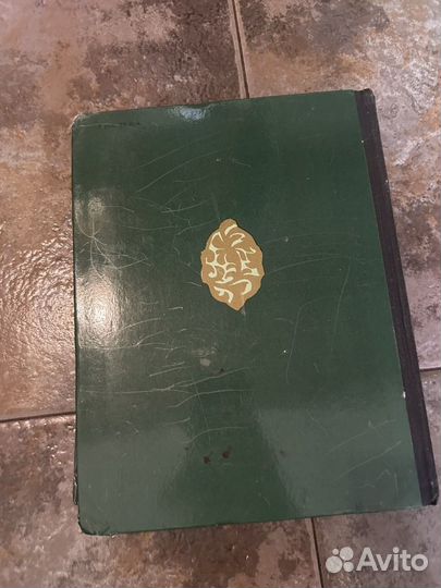 Маугли 1976 г