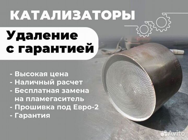 Удаление катализатора бесплатно/ чип тюнинг евро 4