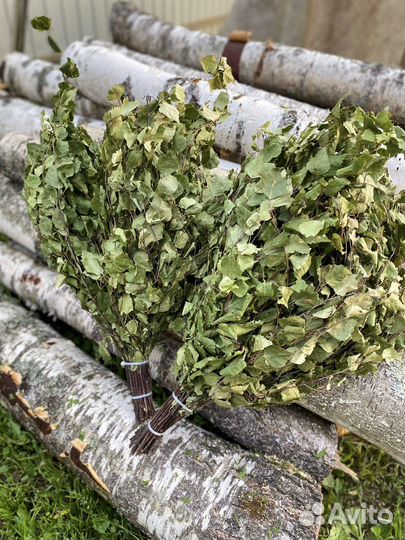 Веники для бани