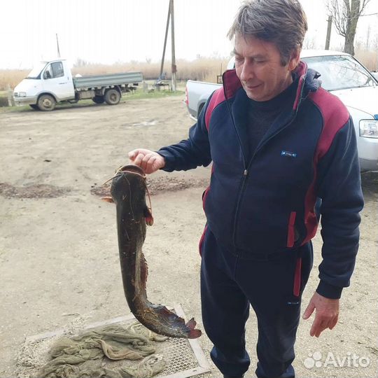 Платная рыбалка. Пруды Черноерковские