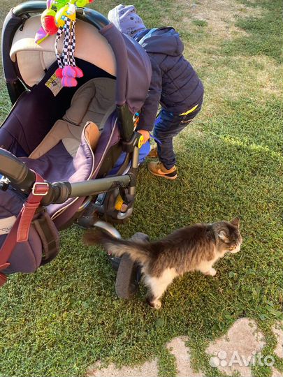 Коляска Jane trider matrix 2в1