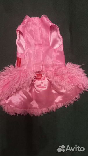 Одежда для животных