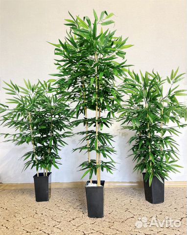 Искусственное растение, дерево Бамбук объявление продам