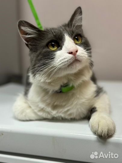 Марусенька