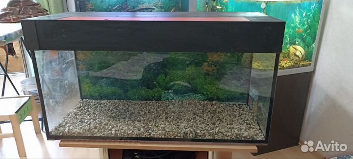 Аквариум