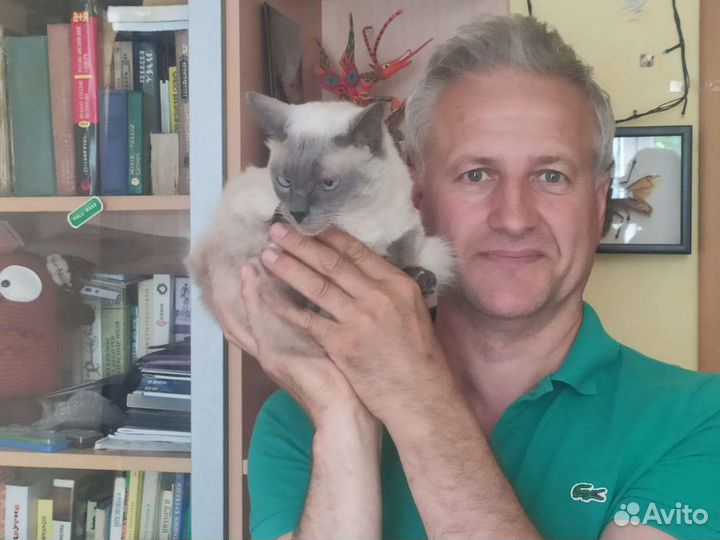 Передержка животных