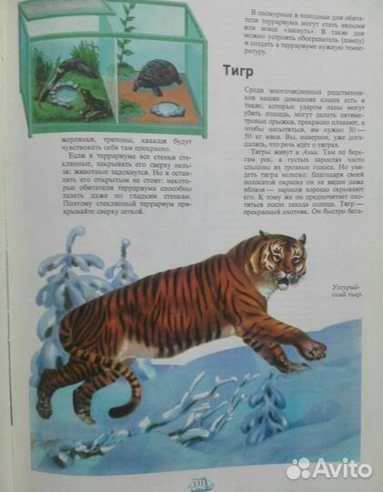 Энциклопедия для детей