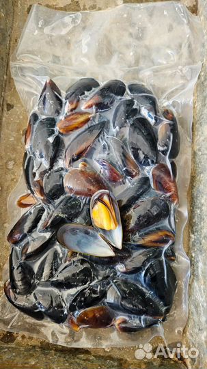 Рыба свежемороженая черноморская рыба опт