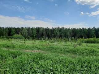 Участок 11 сот. (СНТ, ДНП)