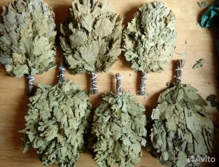 Дубовые веники