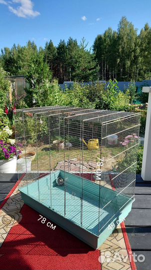 Клетка вольер для животных