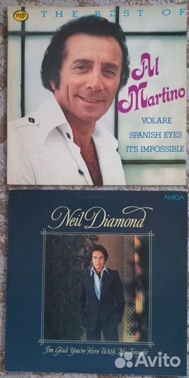 Виниловые пластинки