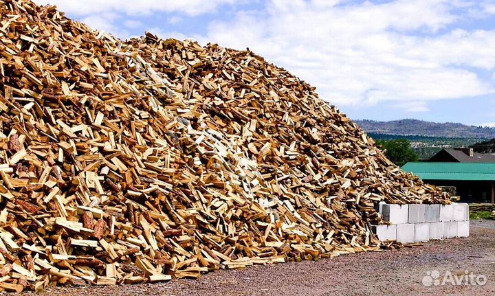 Дрова береза осина