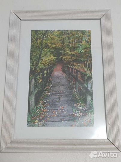 Рамка для фотографий картин