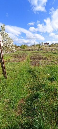 Участок 5,6 сот. (СНТ, ДНП)