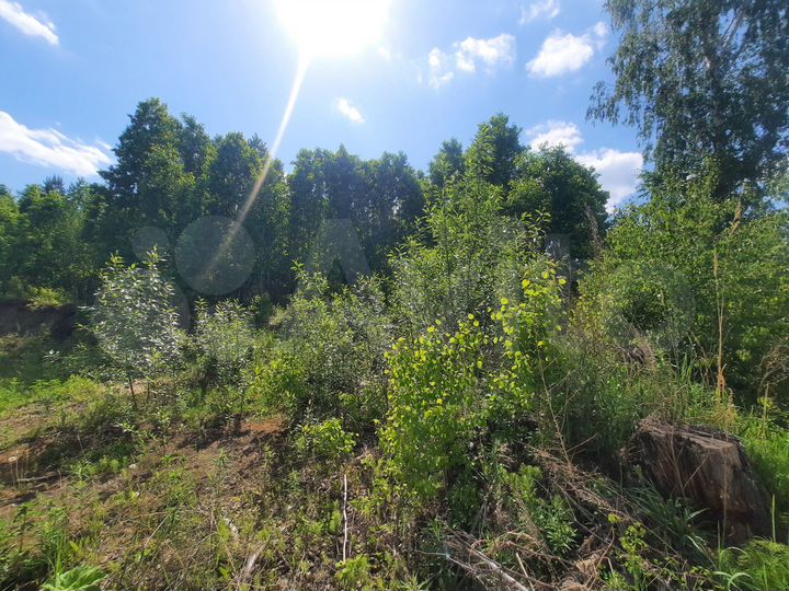 Участок 10,6 сот. (СНТ, ДНП)