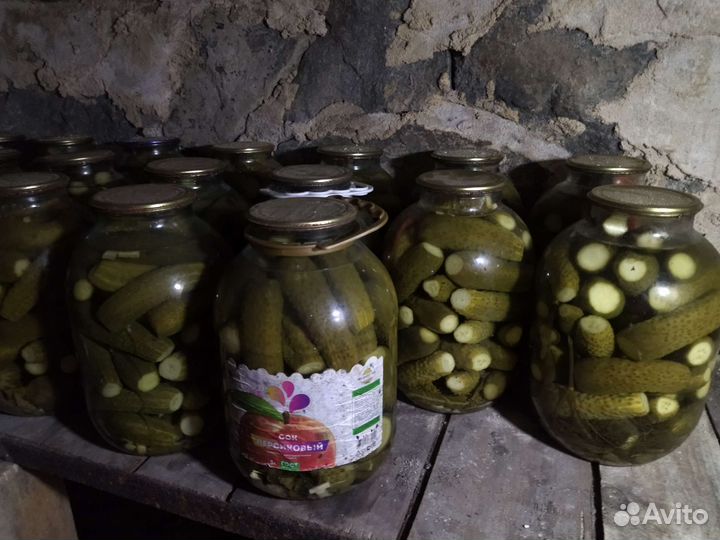 Огурцы соленые домашние