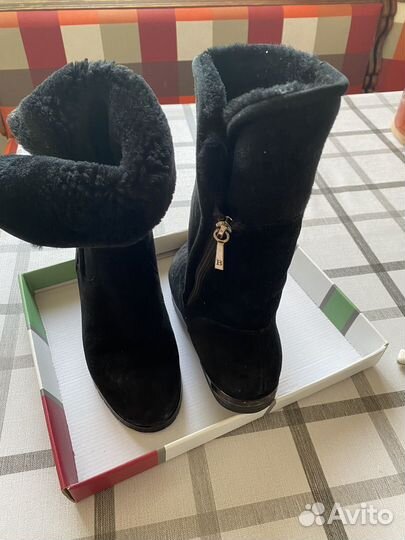 Сапоги женские, натуральная замша