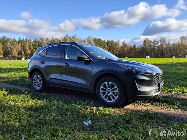 Ford Escape 1.5 AT, 2020, 58 500 км
