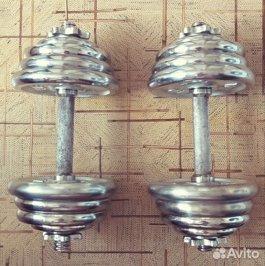 Гантели разборные