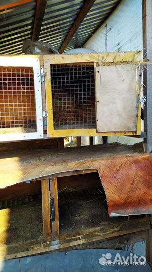 Клетки для кроликов бу