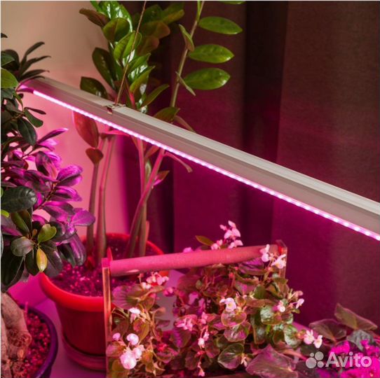 Светильник для растений fito-14W-Т5-N