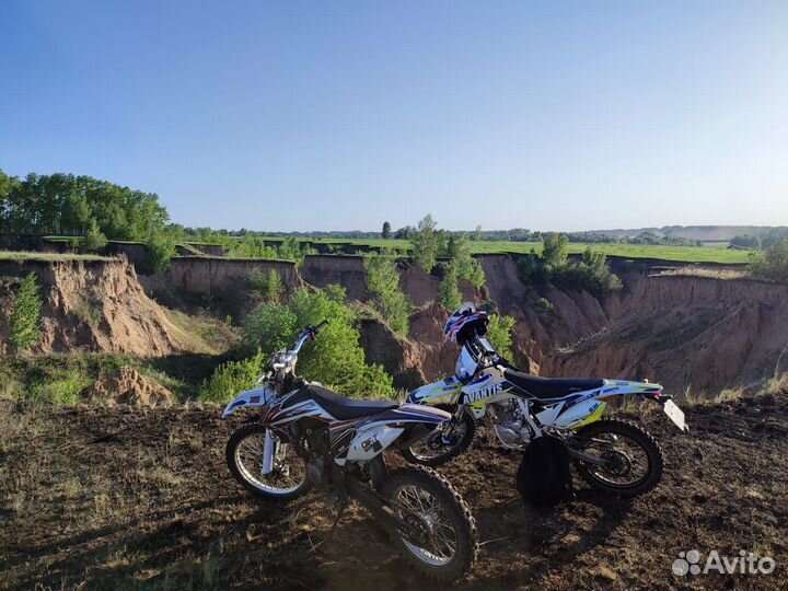 Avantis fx 250 lux