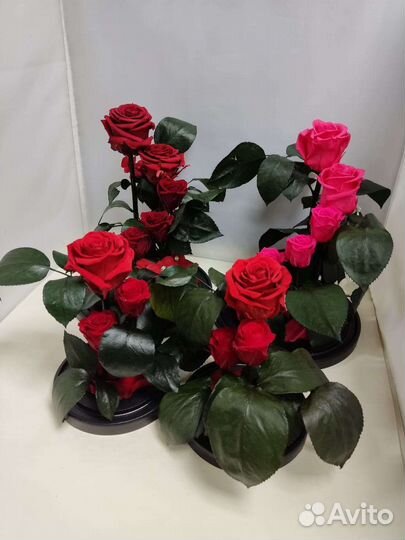 Цветы оптом