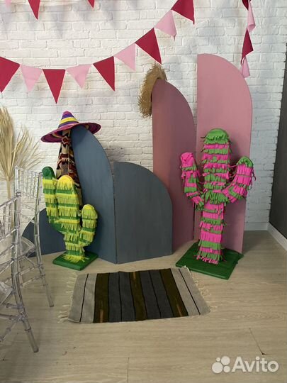 Кактусы для фотозоны мексика