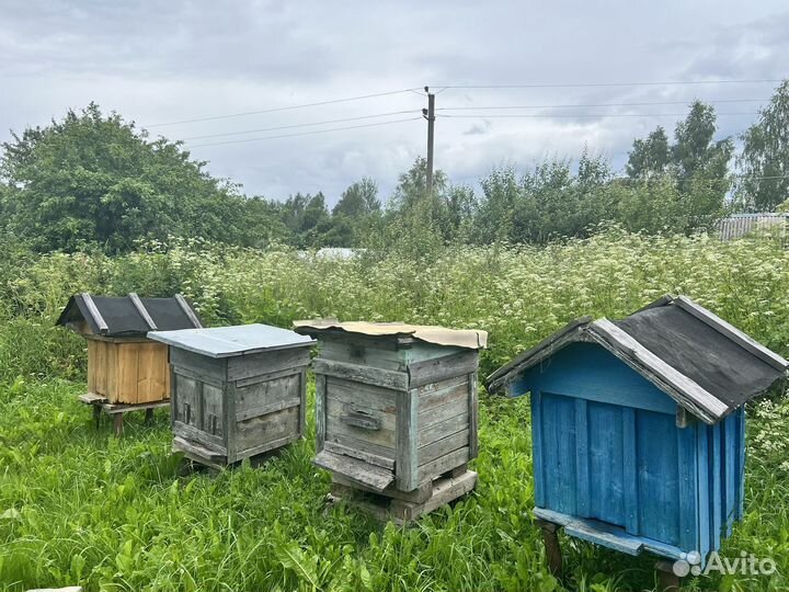 Улей домик для пчел