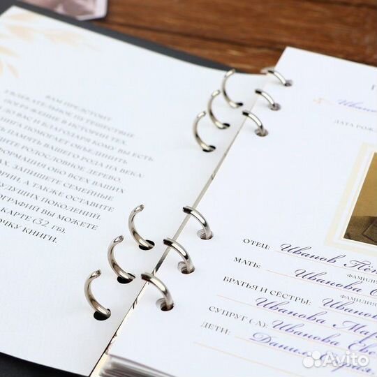 Родословная книга семьи