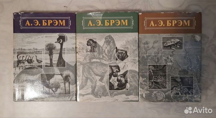 Книги Брэм А. Э