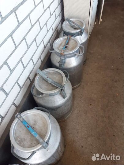 Мёд разнотравие +подсолнух