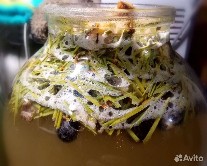 Хлеб бездрожжевой, закваска, квасы, гхи, мед